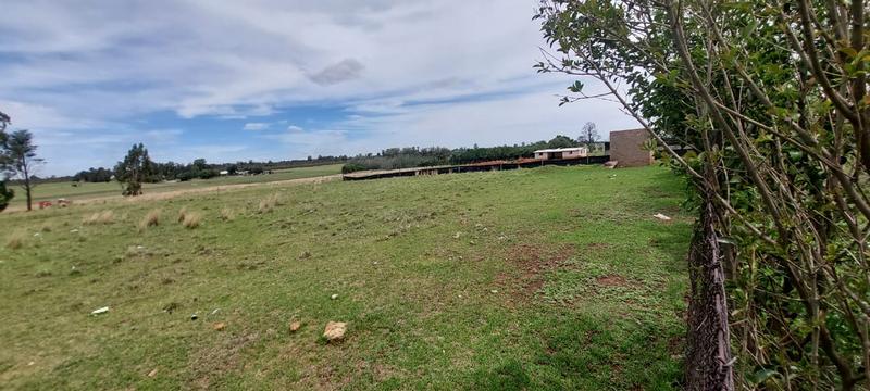 4 Bedroom Property for Sale in Delmas Mpumalanga