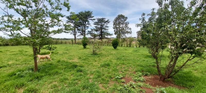 4 Bedroom Property for Sale in Delmas Mpumalanga