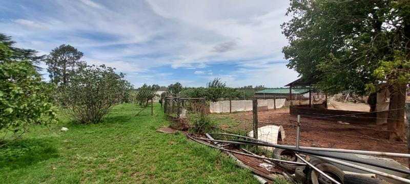 4 Bedroom Property for Sale in Delmas Mpumalanga