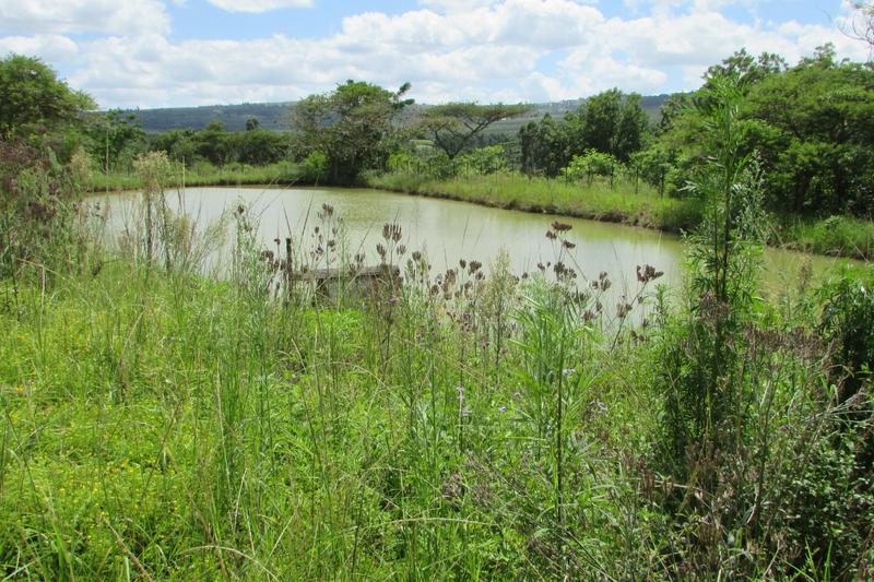 0 Bedroom Property for Sale in White River AH Mpumalanga