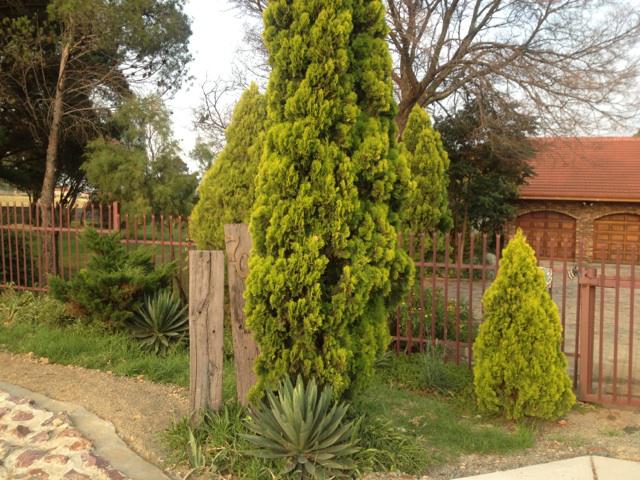 4 Bedroom Property for Sale in Bethal Mpumalanga