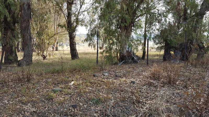 0 Bedroom Property for Sale in Bethal Mpumalanga