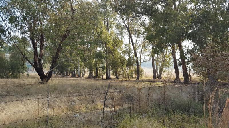 0 Bedroom Property for Sale in Bethal Mpumalanga