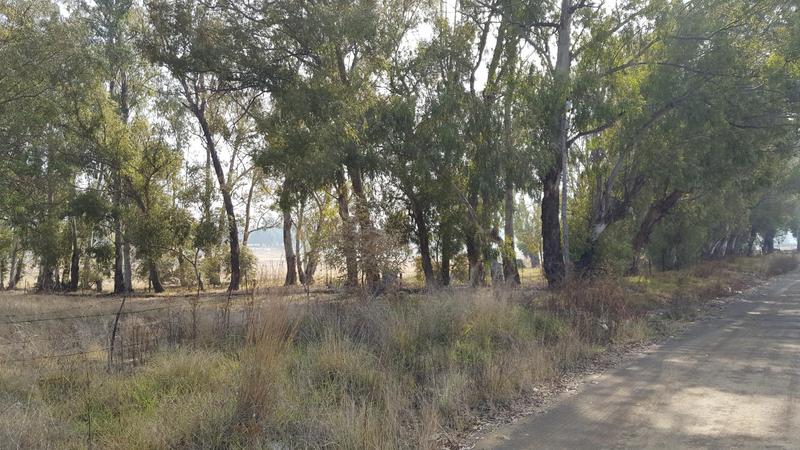 0 Bedroom Property for Sale in Bethal Mpumalanga