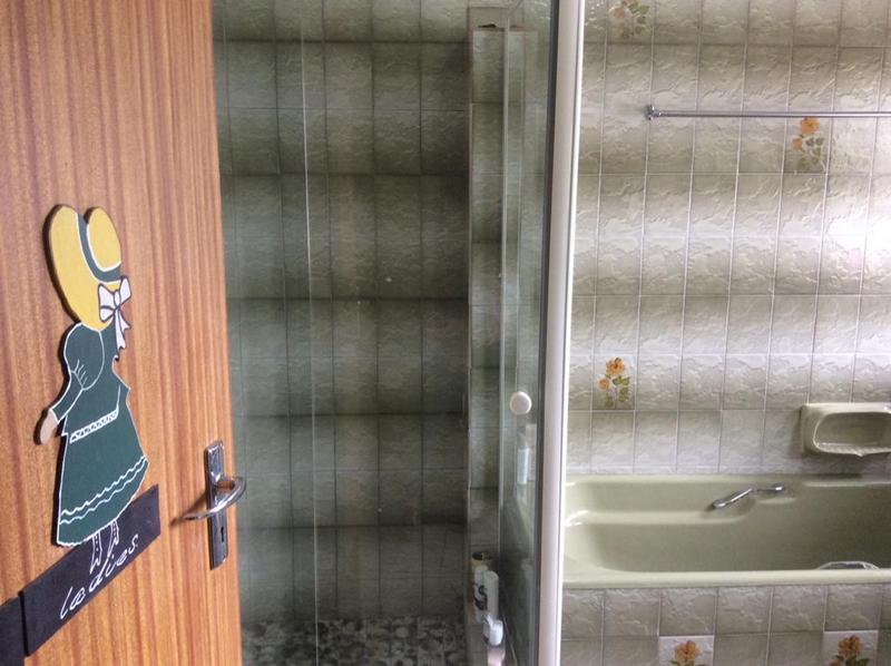 4 Bedroom Property for Sale in Bethal Mpumalanga
