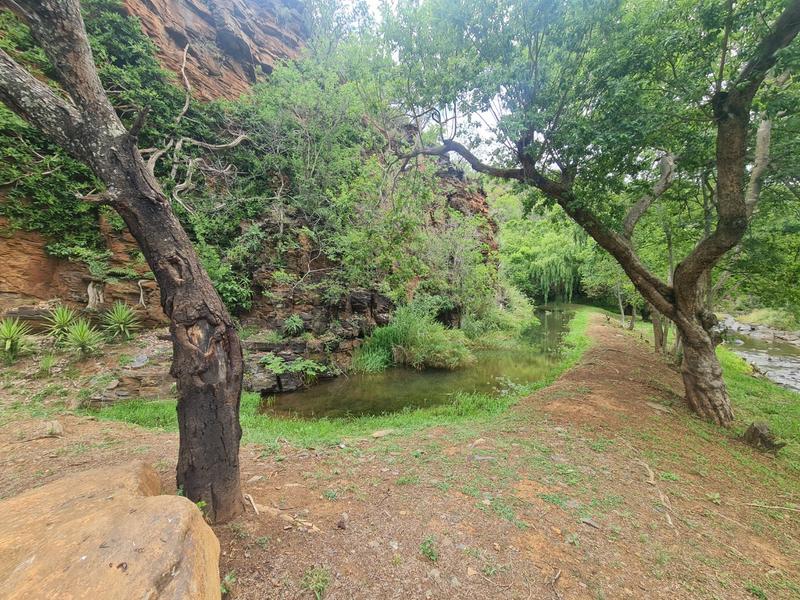 4 Bedroom Property for Sale in Lydenburg Mpumalanga