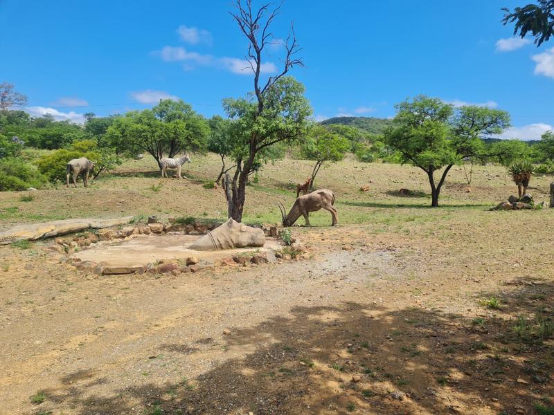 4 Bedroom Property for Sale in Lydenburg Mpumalanga