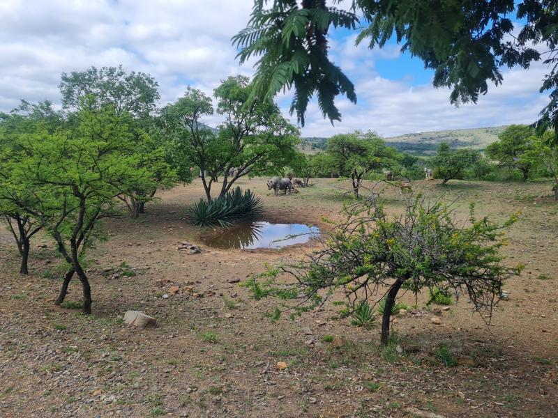 4 Bedroom Property for Sale in Lydenburg Mpumalanga