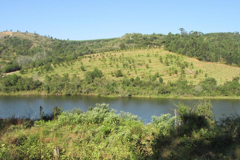 0 Bedroom Property for Sale in White River Rural Mpumalanga