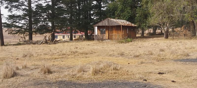 4 Bedroom Property for Sale in Ermelo Mpumalanga