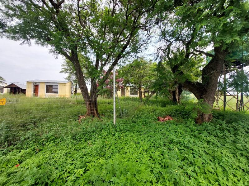 5 Bedroom Property for Sale in Lydenburg Mpumalanga