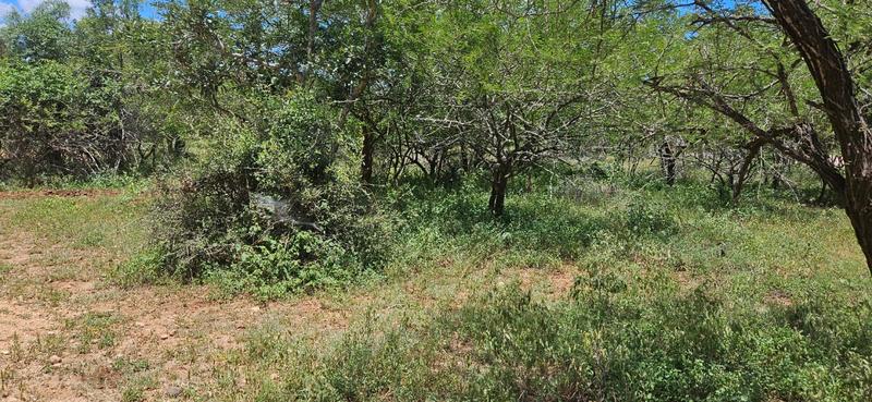 0 Bedroom Property for Sale in Marloth Park Mpumalanga