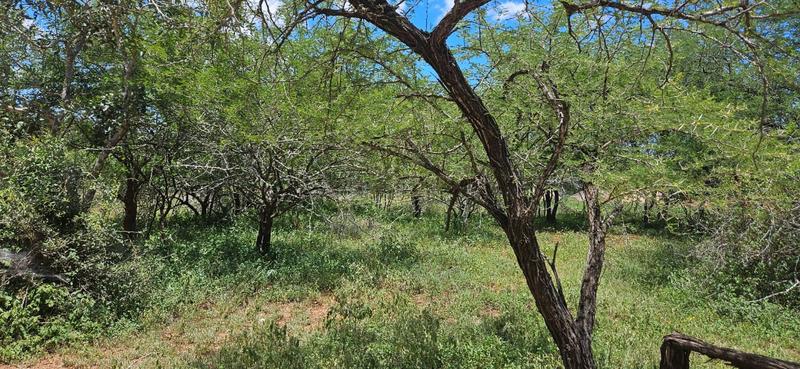 0 Bedroom Property for Sale in Marloth Park Mpumalanga
