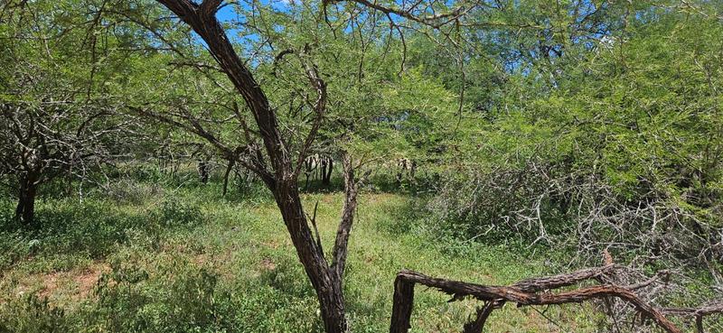 0 Bedroom Property for Sale in Marloth Park Mpumalanga