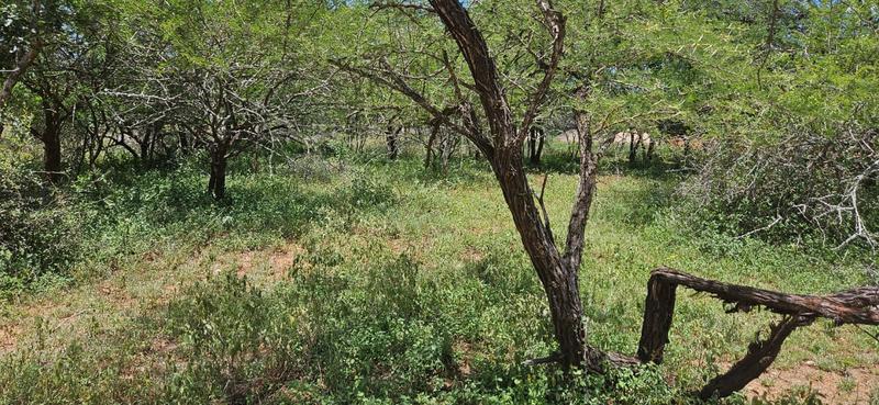 0 Bedroom Property for Sale in Marloth Park Mpumalanga