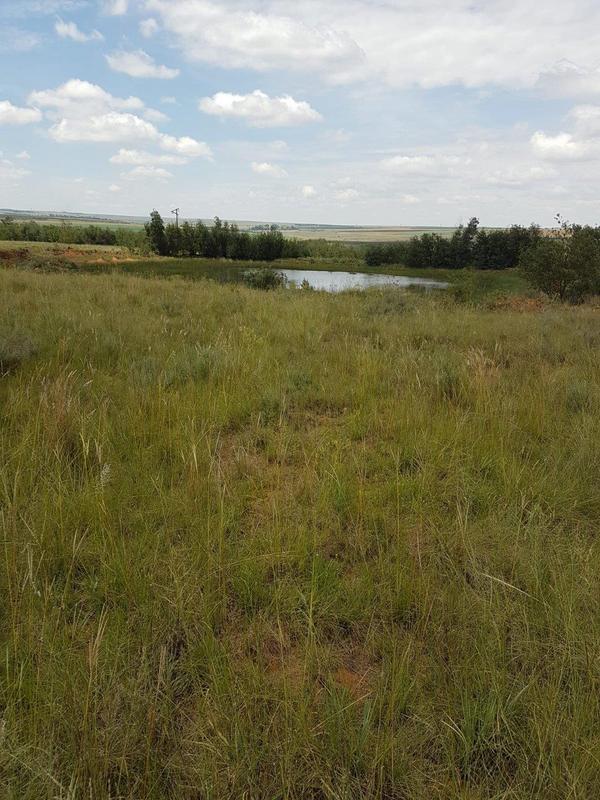 0 Bedroom Property for Sale in Kromdraai Mpumalanga