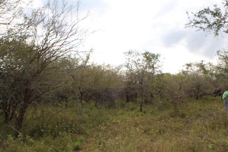 0 Bedroom Property for Sale in Marloth Park Mpumalanga
