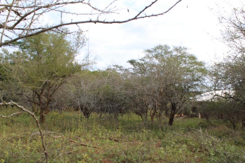 0 Bedroom Property for Sale in Marloth Park Mpumalanga