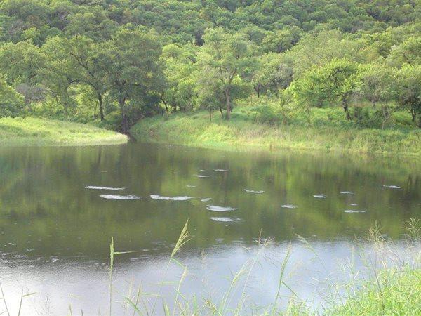 0 Bedroom Property for Sale in Barberton Mpumalanga