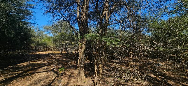 0 Bedroom Property for Sale in Marloth Park Mpumalanga