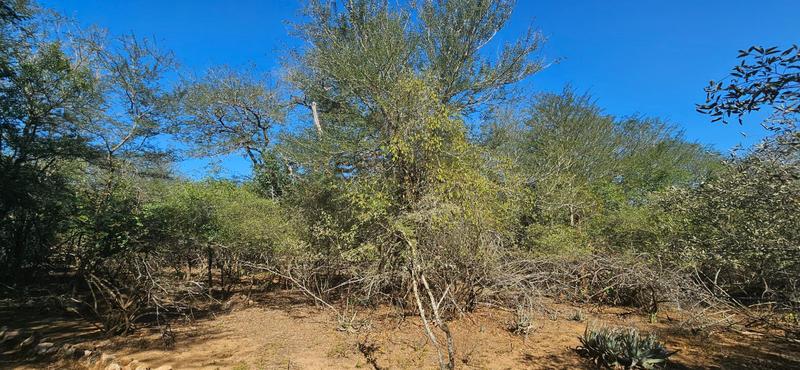 0 Bedroom Property for Sale in Marloth Park Mpumalanga