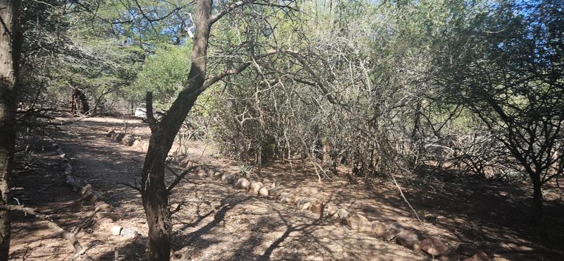 0 Bedroom Property for Sale in Marloth Park Mpumalanga