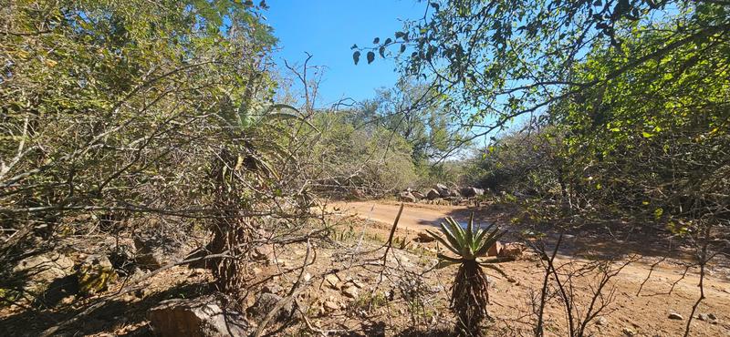 0 Bedroom Property for Sale in Marloth Park Mpumalanga