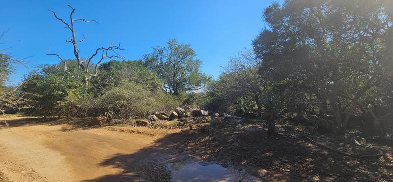 0 Bedroom Property for Sale in Marloth Park Mpumalanga