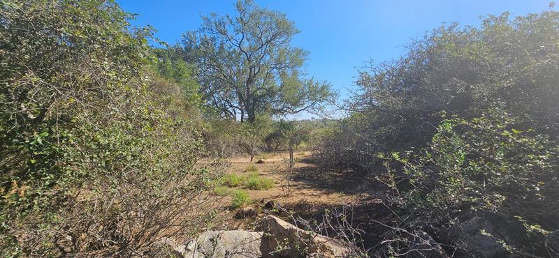 0 Bedroom Property for Sale in Marloth Park Mpumalanga