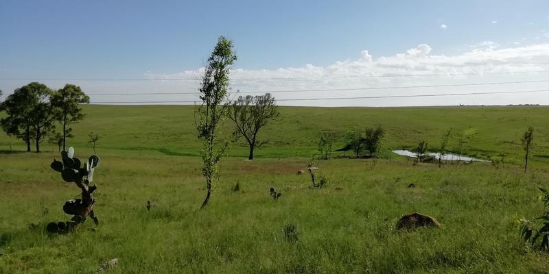 0 Bedroom Property for Sale in Eendrag Mpumalanga