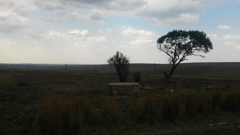 0 Bedroom Property for Sale in Eendrag Mpumalanga